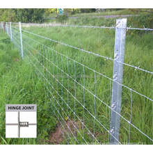 Hight quality goat farming/field fence for sheep and cattle